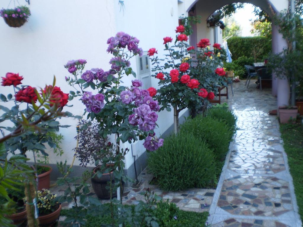 Apartments Nada Bibinje Dış mekan fotoğraf
