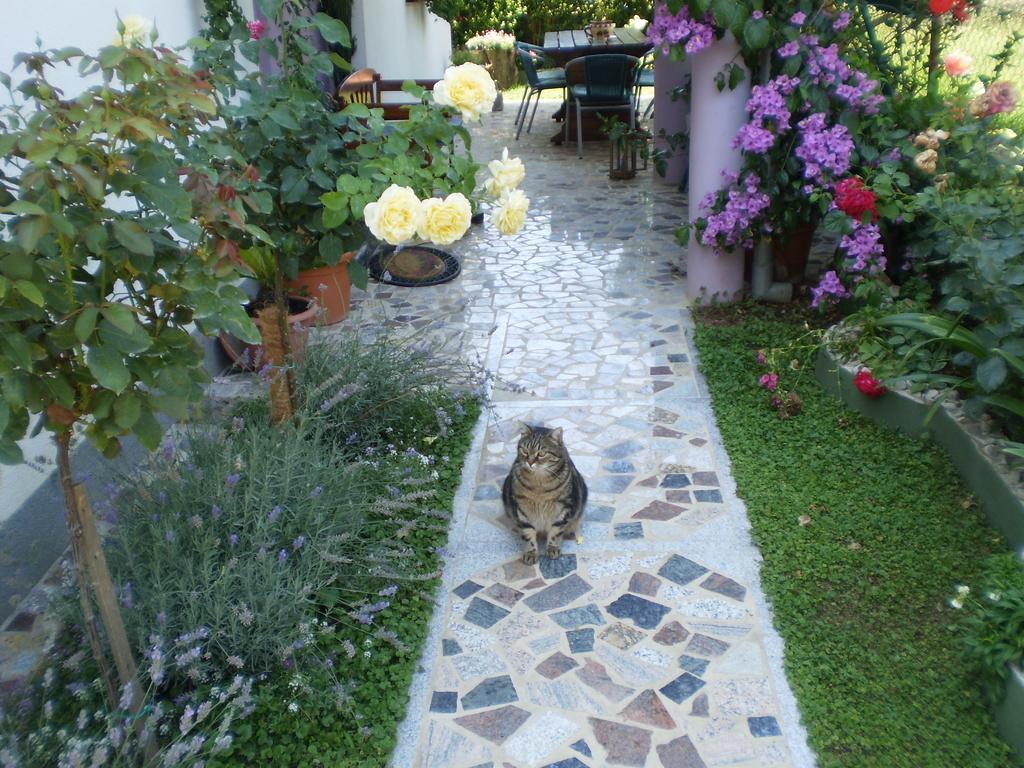 Apartments Nada Bibinje Dış mekan fotoğraf